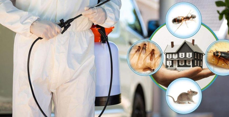 Güngören Böcek İlaçlama