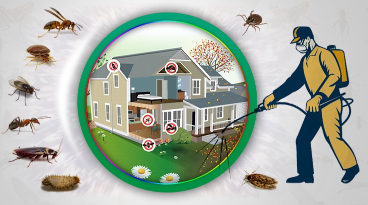 Güngören Böcek İlaçlama