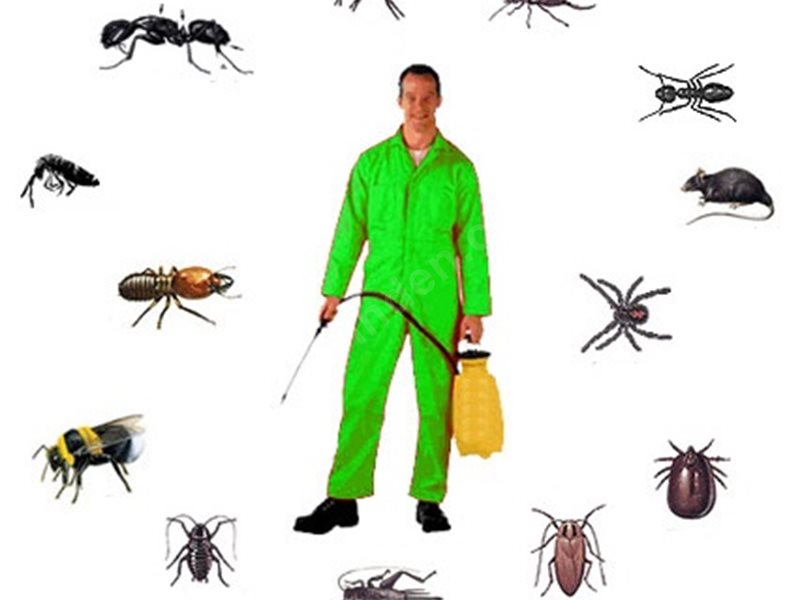 Güngören Böcek İlaçlama